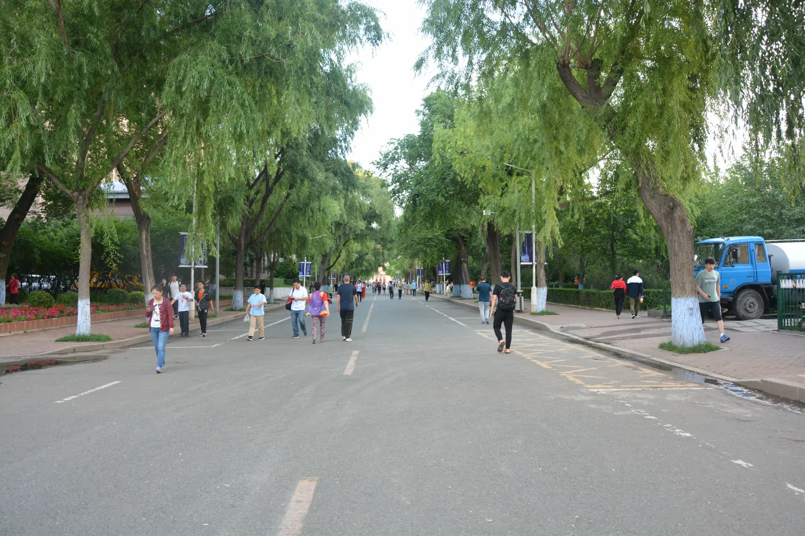 Tree-lined walkway, Harbin Institute of Technology